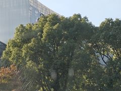 -阳澄湖费尔蒙酒店