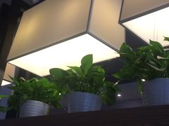 -肯德基(新凌云店)