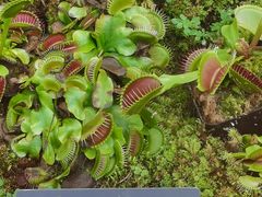 -国家植物园南园