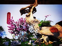 -颐和园