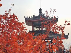 -狼牙山风景区