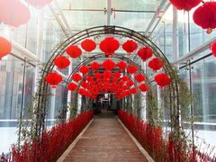 -沈阳植物园