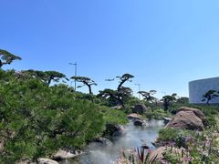 -罗红摄影艺术馆