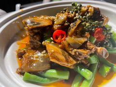 姜汁中华鳖-临江宴(陆家嘴店)