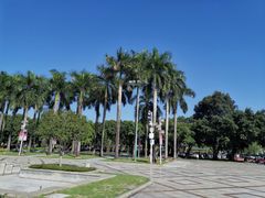 -顺峰山公园