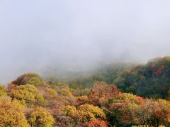 -秦岭风景区