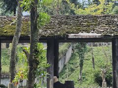 -碧峰峡风景区