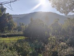 -陶祖圣境风景区