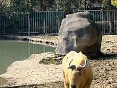 -宁波野生动物园
