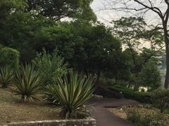 -永安龟山公园