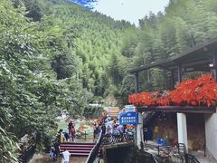 -将军关探险漂流