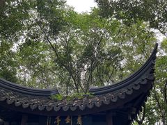 -上海佘山国家森林公园天马山园