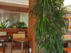 -奈雪的茶(大梅沙8号仓店)