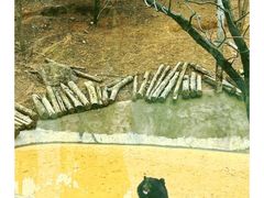 -泉州海丝野生动物世界