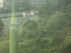-王顺山国家森林公园