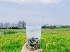 -苏州湾体育公园