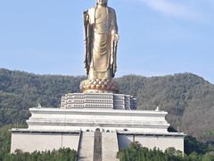 -中原大佛景区