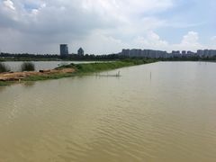 -辉记虾塘海鲜农庄