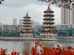 -宝岛公园