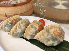 煎饺子-雅香园·30年老字号顺德酒家(乐从岳步店)