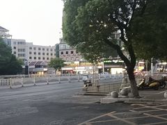 -长兴太湖图影湿地文化园