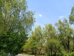 -同里国家湿地公园