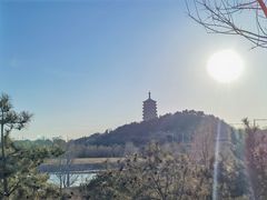 -永定河休闲森林公园