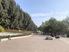 -宝安西湾红树林湿地公园