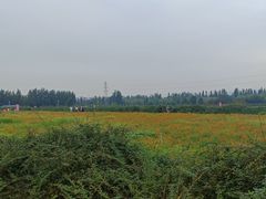 -君乐宝优致牧场
