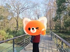 -贡湖湾湿地公园