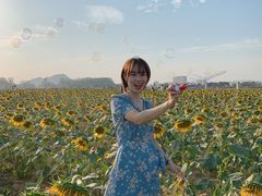 -光明小镇欢乐田园