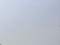 -苏州上方山国家森林公园