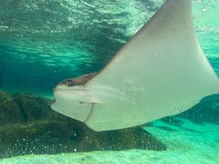 -新加坡水上探险乐园