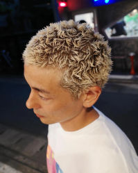 -风生造型