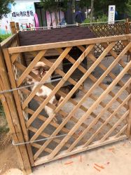 -萌宠亲子动物乐园(槐房万达店)