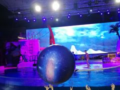 -三亚海昌梦幻海洋不夜城