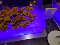-绍兴中金豪庭大酒店·豪庭阁中餐厅