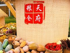 -中国天府农业博览园