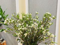 -循礼门鲜花花市(武汉循礼门店)