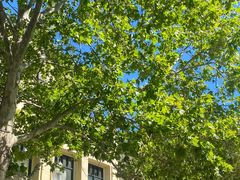 -星巴克(东莞塘厦万科生活广场店)