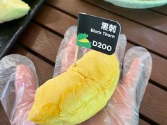 -榴莲BB 四季果园