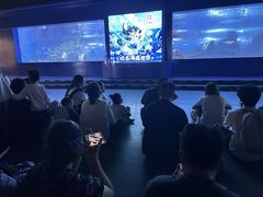 -重庆欢乐海底世界