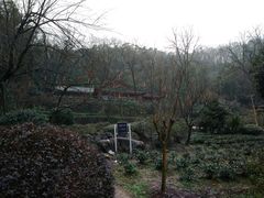 -杭州西湖风景名胜区-三生石