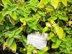 -广州神农草堂中医药博物馆