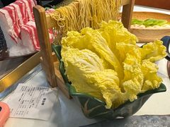 -洪氏嗨捞·猪肚鸡火锅(阳光天地店)