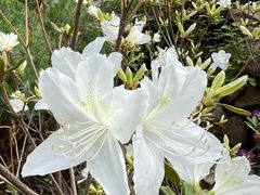 -云峰山自然风景区
