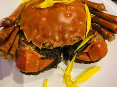 -蟹榭·本帮江浙菜·蟹宴(五角场合生汇商场店)