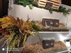 -The Dishes Seafood & Restaurant
