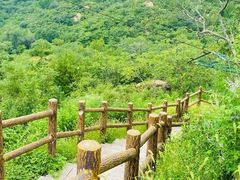 -白水寺森林公园
