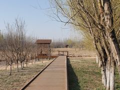 -东郊湿地公园